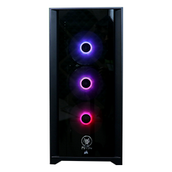 Budget Gaming Pc ANT PC SOLENOPSIS RL900K