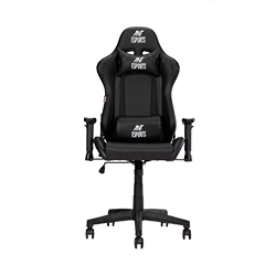 Ant Esports Carbon Gaming Chair